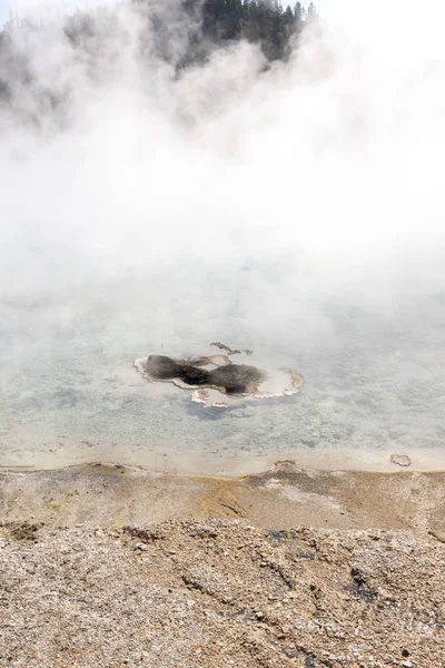 Гейзер Большом Призматическом Бассейне Йеллоустонском Национальном Парке Вайоминге — стоковое фото