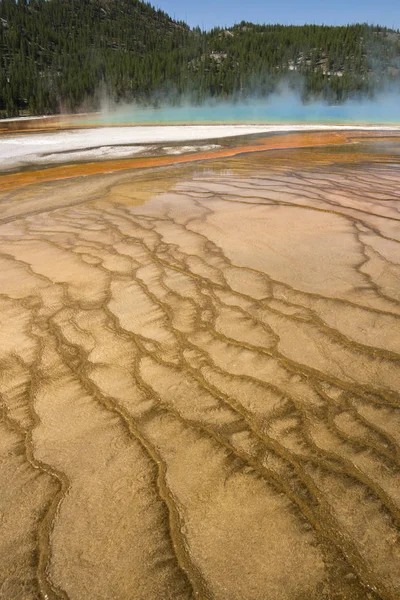 Geyser Grande Bacia Prismática Primavera Parque Nacional Yellowstone Wyoming — Fotografia de Stock