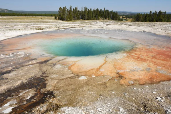 Géiser Gran Cuenca Prismática Primavera Parque Nacional Yellowstone Wyoming — Foto de Stock