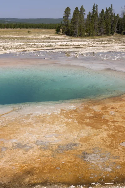 Géiser Gran Cuenca Prismática Primavera Parque Nacional Yellowstone Wyoming — Foto de Stock