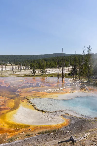 Geiser Firehole Canyon Drive Yellowstone National Park Wyoming — Stockfoto