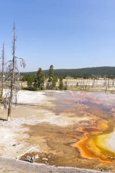 Géiser Firehole Canyon Drive Parque Nacional Yellowstone Wyoming — Foto de Stock