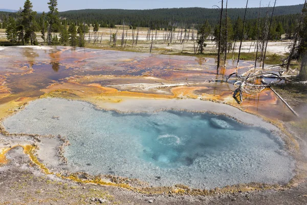 Geyser Dans Firehole Canyon Drive Dans Parc National Yellowstone Dans — Photo