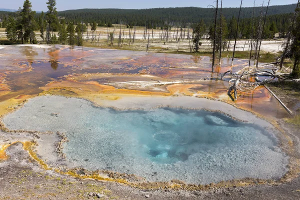 Géiser Firehole Canyon Drive Parque Nacional Yellowstone Wyoming — Foto de Stock