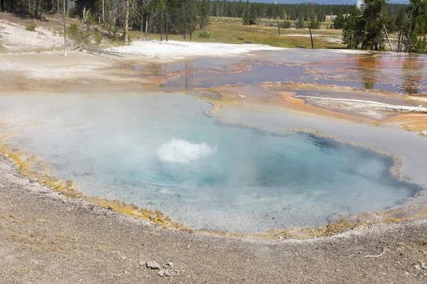 Géiser Firehole Canyon Drive Parque Nacional Yellowstone Wyoming — Foto de Stock