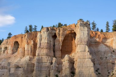Amerika Birleşik Devletleri'nde Bryce Kanyon manzara iz ve ağaçlar