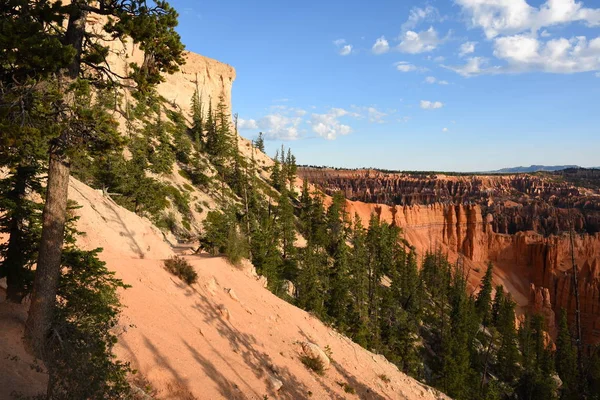 アメリカ合衆国のブライスキャニオンの風景のトレイルと木 — ストック写真