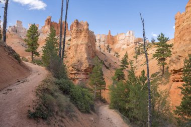Amerika Birleşik Devletleri'nde Bryce Kanyon manzara iz ve ağaçlar