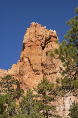 Amerika Birleşik Devletleri'nde Bryce Kanyon manzara iz ve ağaçlar