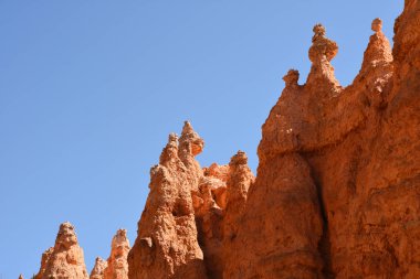 Amerika Birleşik Devletleri'nde Bryce Kanyon manzara iz ve ağaçlar