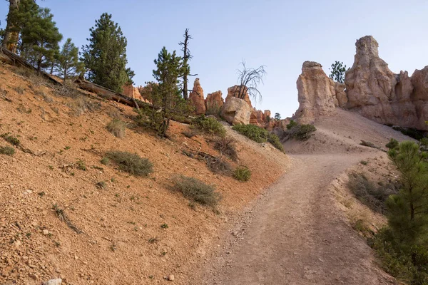 horse footprints on trail in bryce canyon landscape in the united states of america