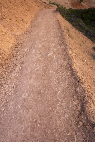 horse footprints on trail in bryce canyon landscape in the united states of america