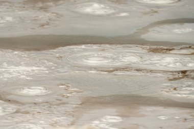 Wyoming Yellowstone Milli Parkı gayser, kaynayan çamur havuzları ve yanmış ağaçlar arasında Çeşme Boya Pot iz