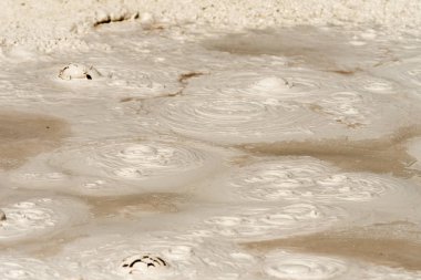 Wyoming Yellowstone Milli Parkı gayser, kaynayan çamur havuzları ve yanmış ağaçlar arasında Çeşme Boya Pot iz