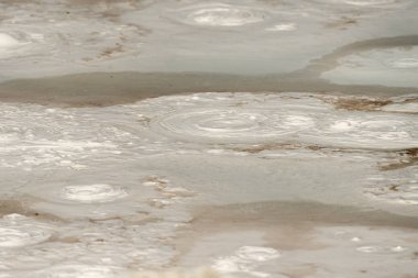 Wyoming Yellowstone Milli Parkı gayser, kaynayan çamur havuzları ve yanmış ağaçlar arasında Çeşme Boya Pot iz