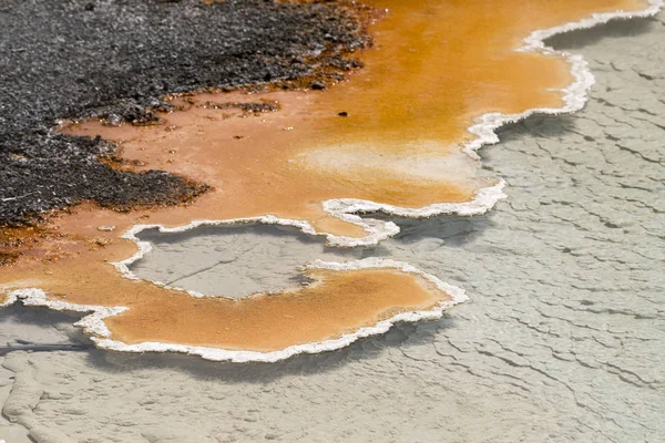 Fountain Paint Pot trail between gayser, boiling mud pools and burnt trees in in Yellowstone National Park  in Wyoming