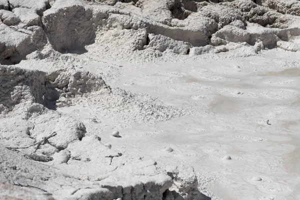 Fountain Paint Pot trail between gayser, boiling mud pools and burnt trees in in Yellowstone National Park  in Wyoming