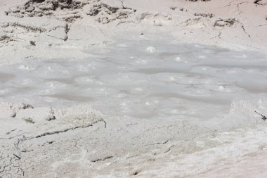 Wyoming Yellowstone Milli Parkı gayser, kaynayan çamur havuzları ve yanmış ağaçlar arasında Çeşme Boya Pot iz