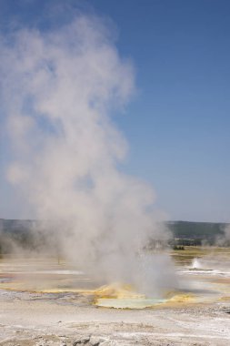 Wyoming Yellowstone Milli Parkı gayser, kaynayan çamur havuzları ve yanmış ağaçlar arasında Çeşme Boya Pot iz