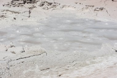 Wyoming Yellowstone Milli Parkı gayser, kaynayan çamur havuzları ve yanmış ağaçlar arasında Çeşme Boya Pot iz