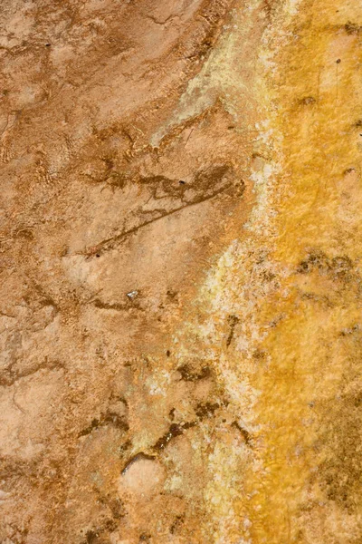 Brunnen Farbtopfweg Zwischen Gayser Kochenden Schlammpools Und Verbrannten Bäumen Yellowstone — Stockfoto