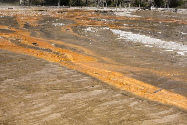 Fuente Paint Pot Sendero Entre Gayser Piscinas Barro Hirviendo Árboles — Foto de Stock