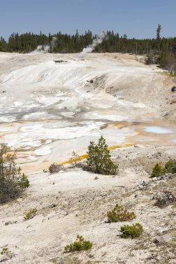 Wyoming Yellowstone Milli Parkı norris gayzer havzası porselen