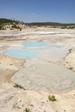 Wyoming Yellowstone Milli Parkı norris gayzer havzası porselen