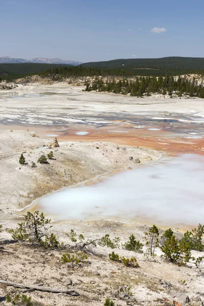 Porcelana Cuenca Del Géiser Norris Parque Nacional Yellowstone Wyoming — Foto de Stock