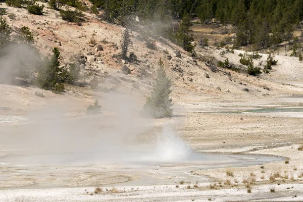 Norris Geyser Basin Porcelain Yellowstone National Park Wyoming — Stock Photo, Image