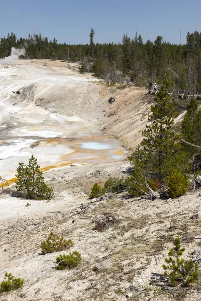 Porcelana Cuenca Del Géiser Norris Parque Nacional Yellowstone Wyoming — Foto de Stock