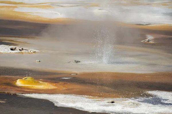 Porcellana Norris Geyser Nel Parco Nazionale Yellowstone Nel Wyoming — Foto Stock