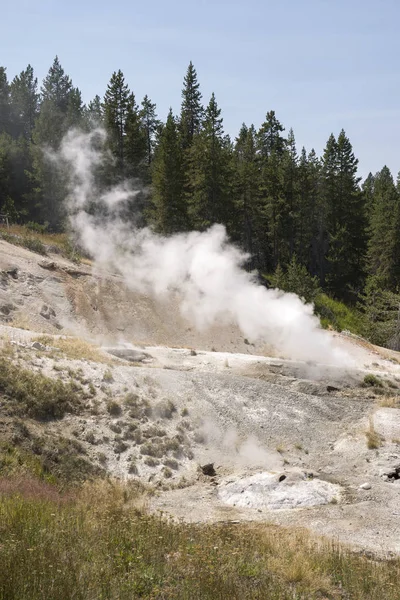 Norris Geyser Bassin Porcelaine Dans Parc National Yellowstone Dans Wyoming — Photo