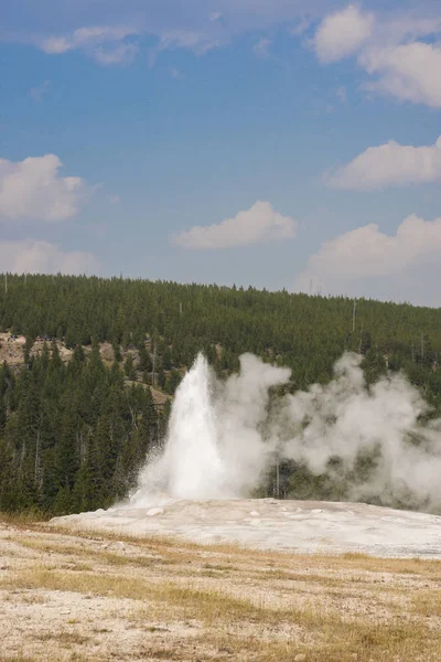 Velho Fiel Geyser Antiga Bacia Fiel Yellowstone National Park Wyoming — Fotografia de Stock