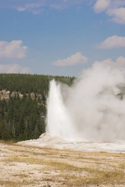 Velho Fiel Geyser Antiga Bacia Fiel Yellowstone National Park Wyoming — Fotografia de Stock