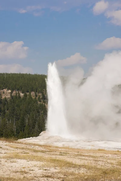 Oude Getrouwe Geiser Oud Trouw Bekken Yellowstone National Park Wyoming — Stockfoto