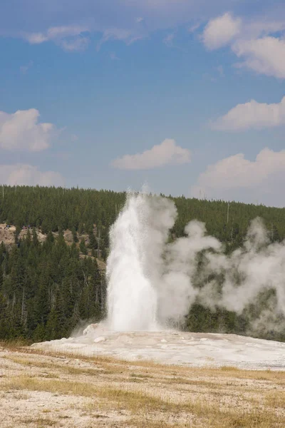 Gammala Trogna Geyser Gammala Trogna Handfatet Yellowstone Nationalpark Wyoming — Stockfoto