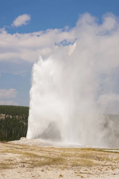 Starý Věrný Gejzír Staré Věrné Pánvi Yellowstonských Národních Parcích Wyomingu — Stock fotografie