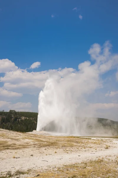 Velho Fiel Geyser Antiga Bacia Fiel Yellowstone National Park Wyoming — Fotografia de Stock