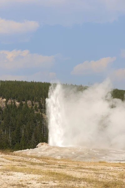 Régi Hűséges Gejzér Régi Hűséges Medencében Yellowstone Nemzeti Parkban Wyoming — Stock Fotó