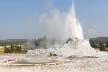 Wyoming 'deki Yellowstone Ulusal Parkı' ndaki eski sadık havzada sadık bir gayzer.