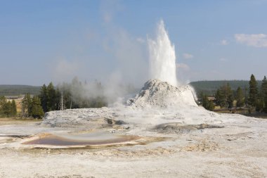Wyoming 'deki Yellowstone Ulusal Parkı' ndaki eski sadık havzada sadık bir gayzer.