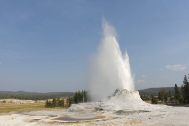 Wyoming 'deki Yellowstone Ulusal Parkı' ndaki eski sadık havzada sadık bir gayzer.