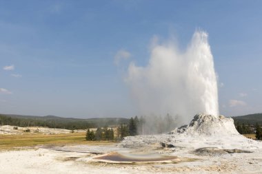 Wyoming 'deki Yellowstone Ulusal Parkı' ndaki eski sadık havzada sadık bir gayzer.