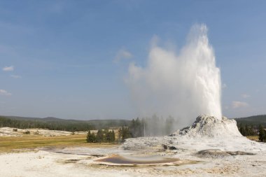 Wyoming 'deki Yellowstone Ulusal Parkı' ndaki eski sadık havzada sadık bir gayzer.