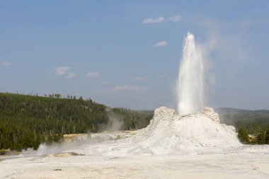 Wyoming 'deki Yellowstone Ulusal Parkı' ndaki eski sadık havzada sadık bir gayzer.