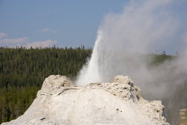 Wyoming 'deki Yellowstone Ulusal Parkı' ndaki eski sadık havzada sadık bir gayzer.