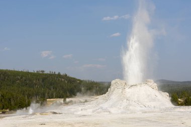 Wyoming 'deki Yellowstone Ulusal Parkı' ndaki eski sadık havzada sadık bir gayzer.