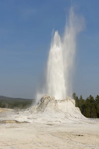 Slott Trogna Geyser Gammala Trogna Handfatet Yellowstone Nationalpark Wyoming — Stockfoto