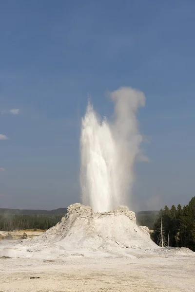 Castelo Fiel Geyser Antiga Bacia Fiel Yellowstone National Park Wyoming — Fotografia de Stock